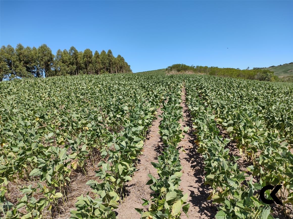 Loteamento e Condomínio à venda, 750000m² - Foto 1