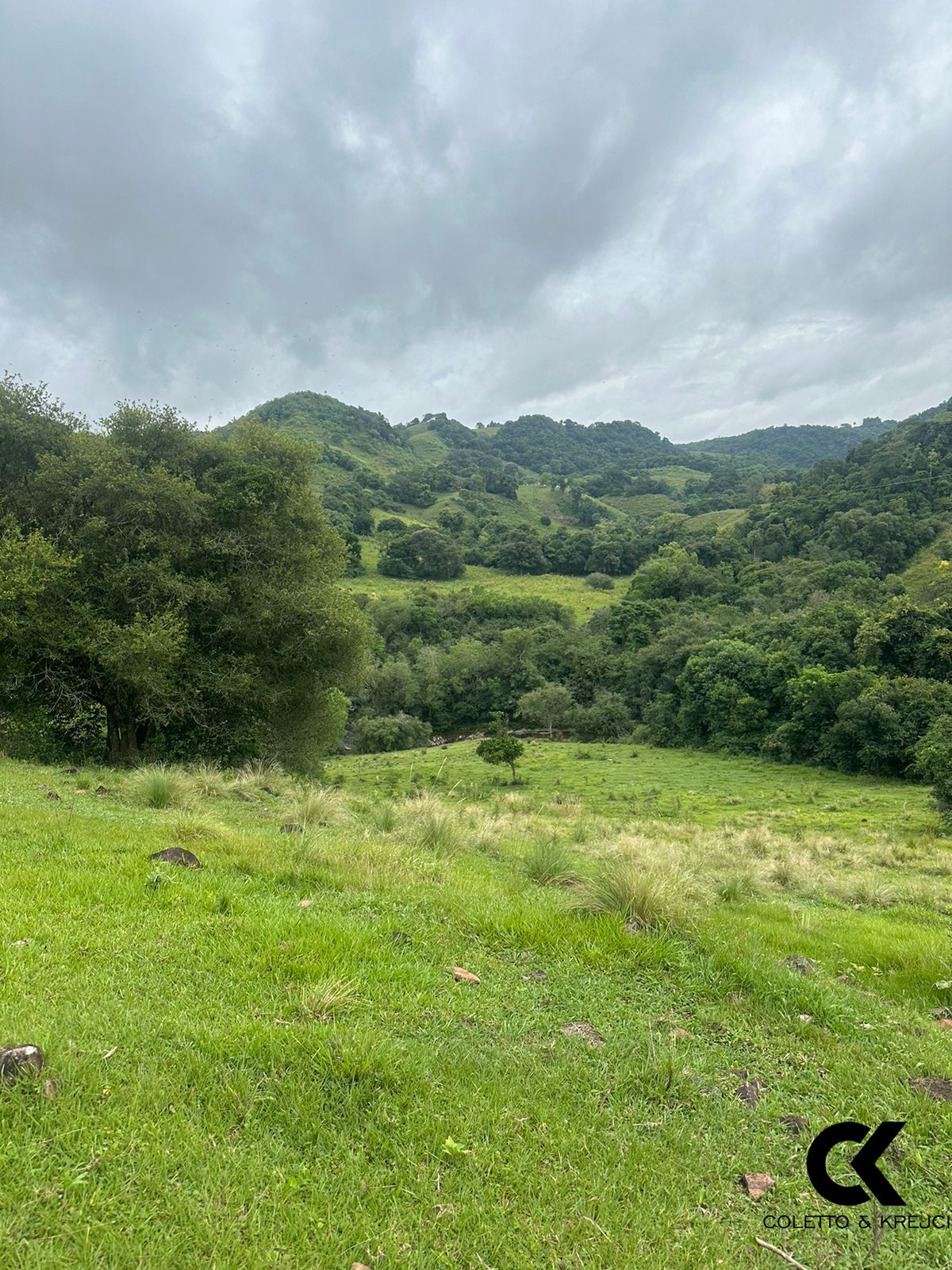 Fazenda à venda, 48400m² - Foto 10