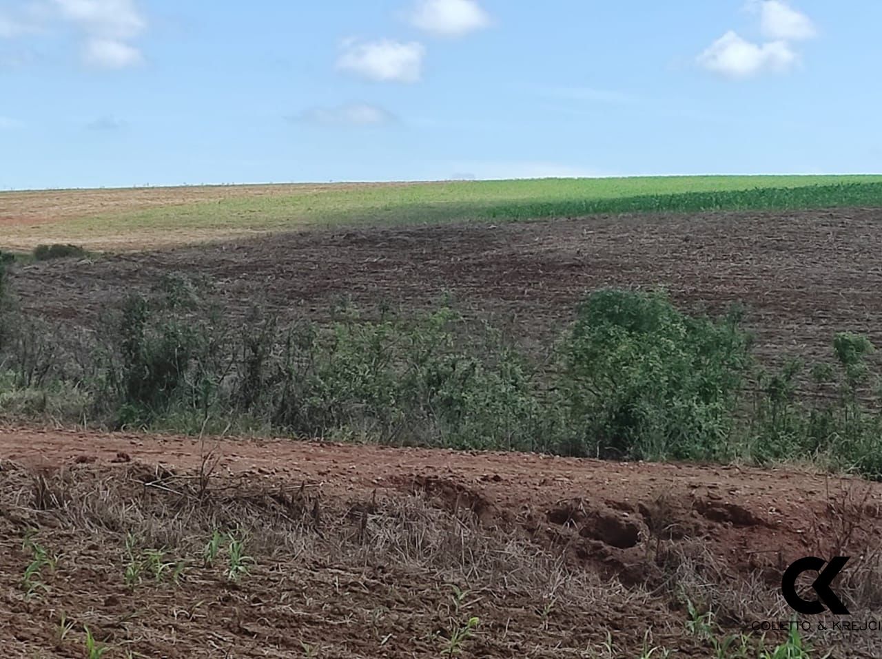 Fazenda à venda com 3 quartos, 20000000m² - Foto 5