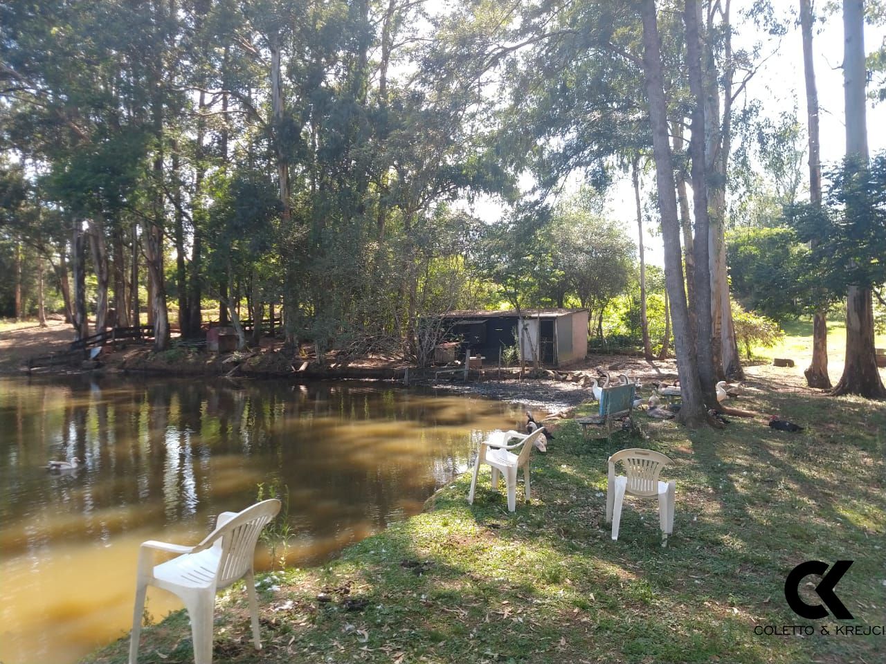 Fazenda à venda com 4 quartos, 480m² - Foto 5