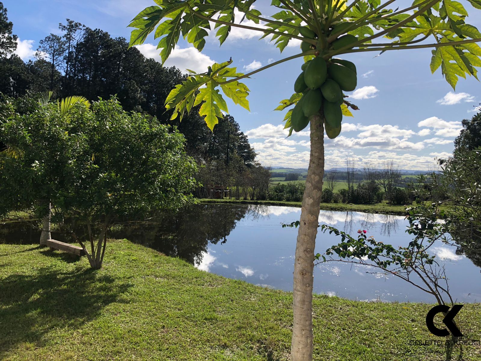 Fazenda à venda com 1 quarto, 10000m² - Foto 10