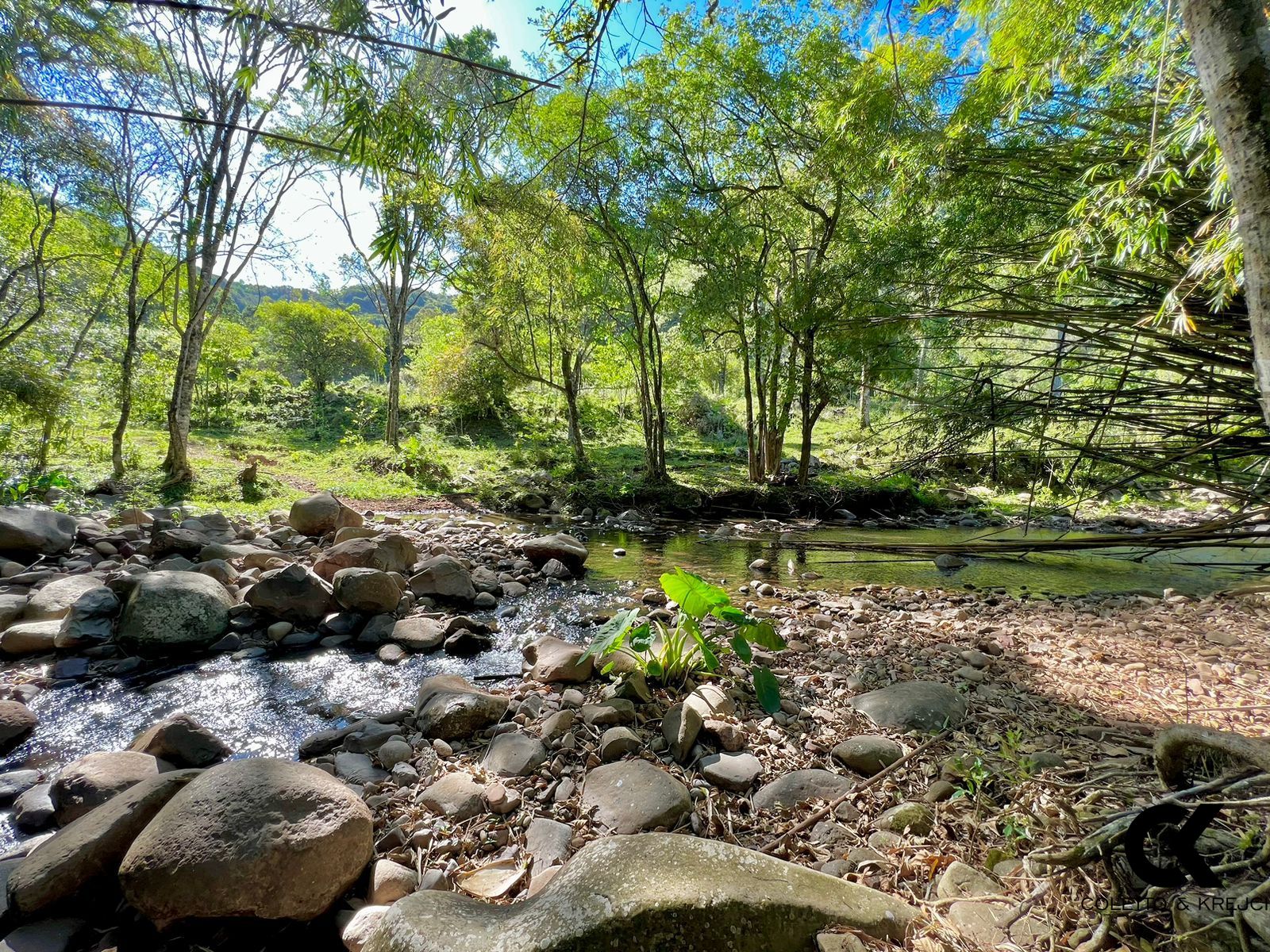 Fazenda à venda com 10 quartos, 600m² - Foto 40