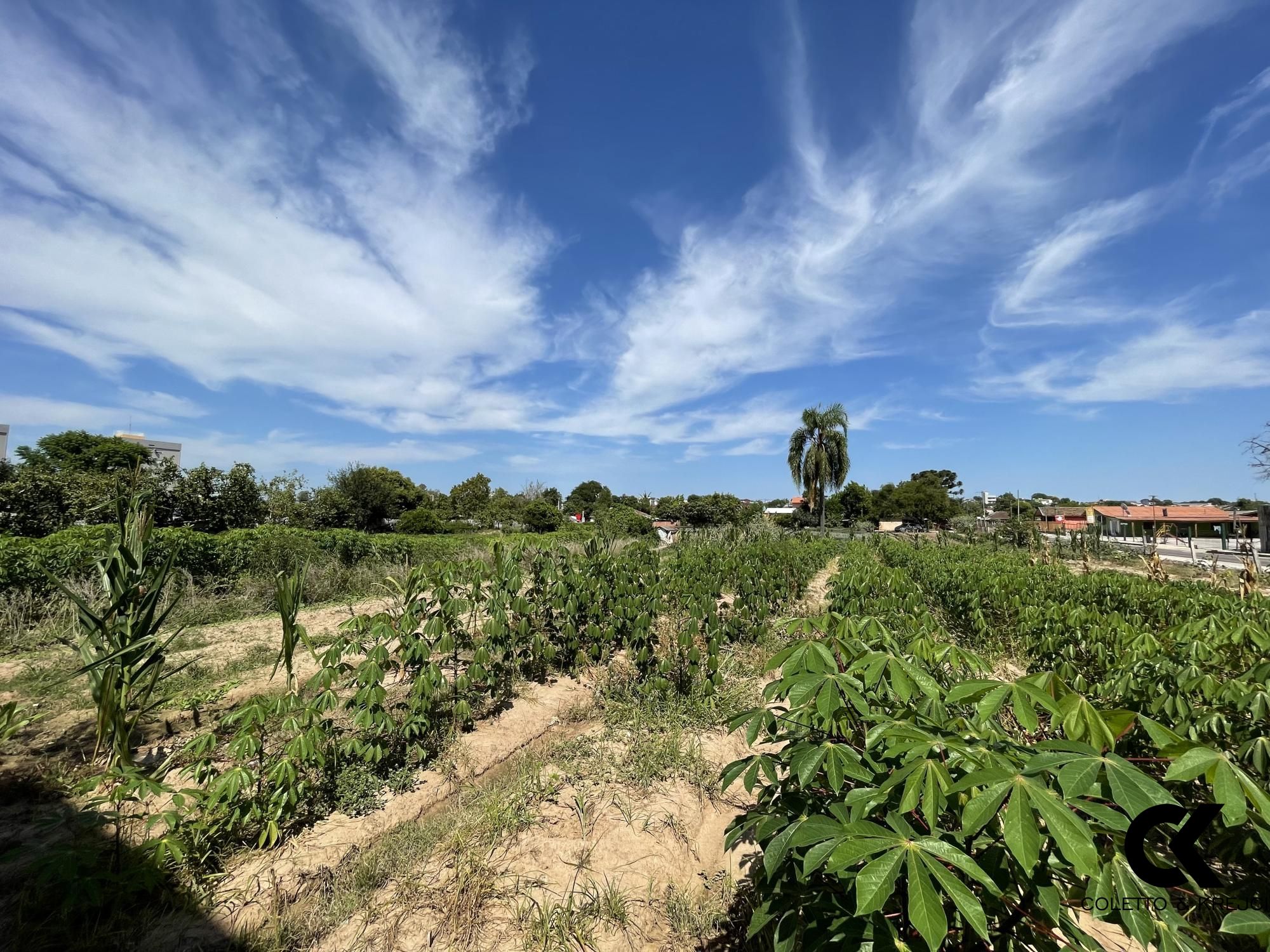 Terreno à venda, 10080m² - Foto 1