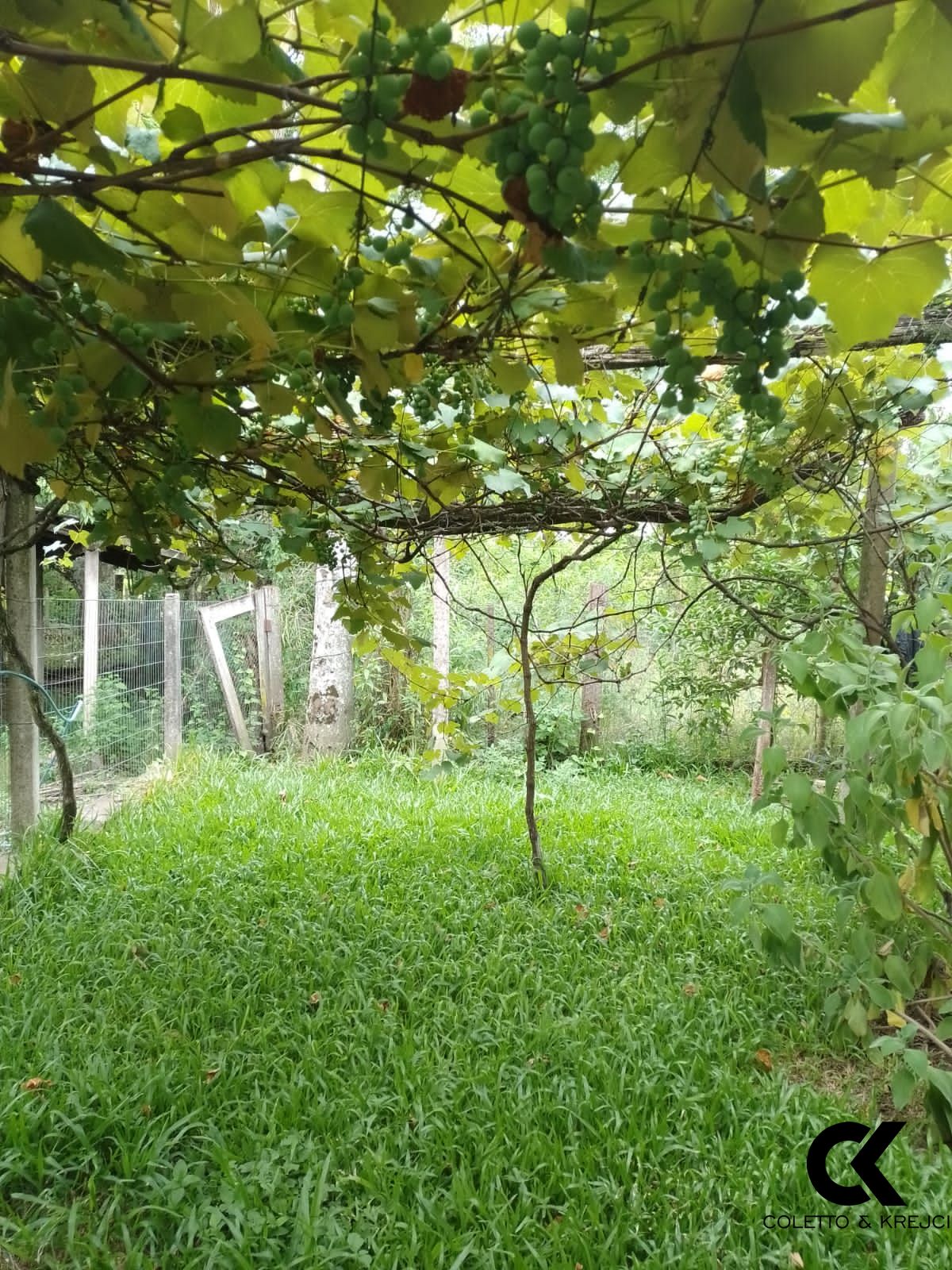 Chácara à venda com 3 quartos, 112m² - Foto 6