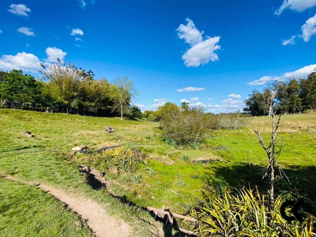 Fazenda à venda com 3 quartos, 195m² - Foto 4