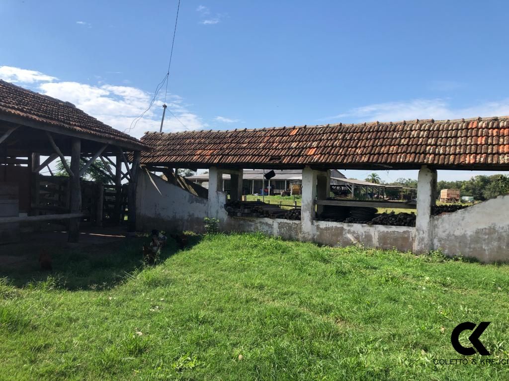 Fazenda à venda com 3 quartos, 32750000m² - Foto 8