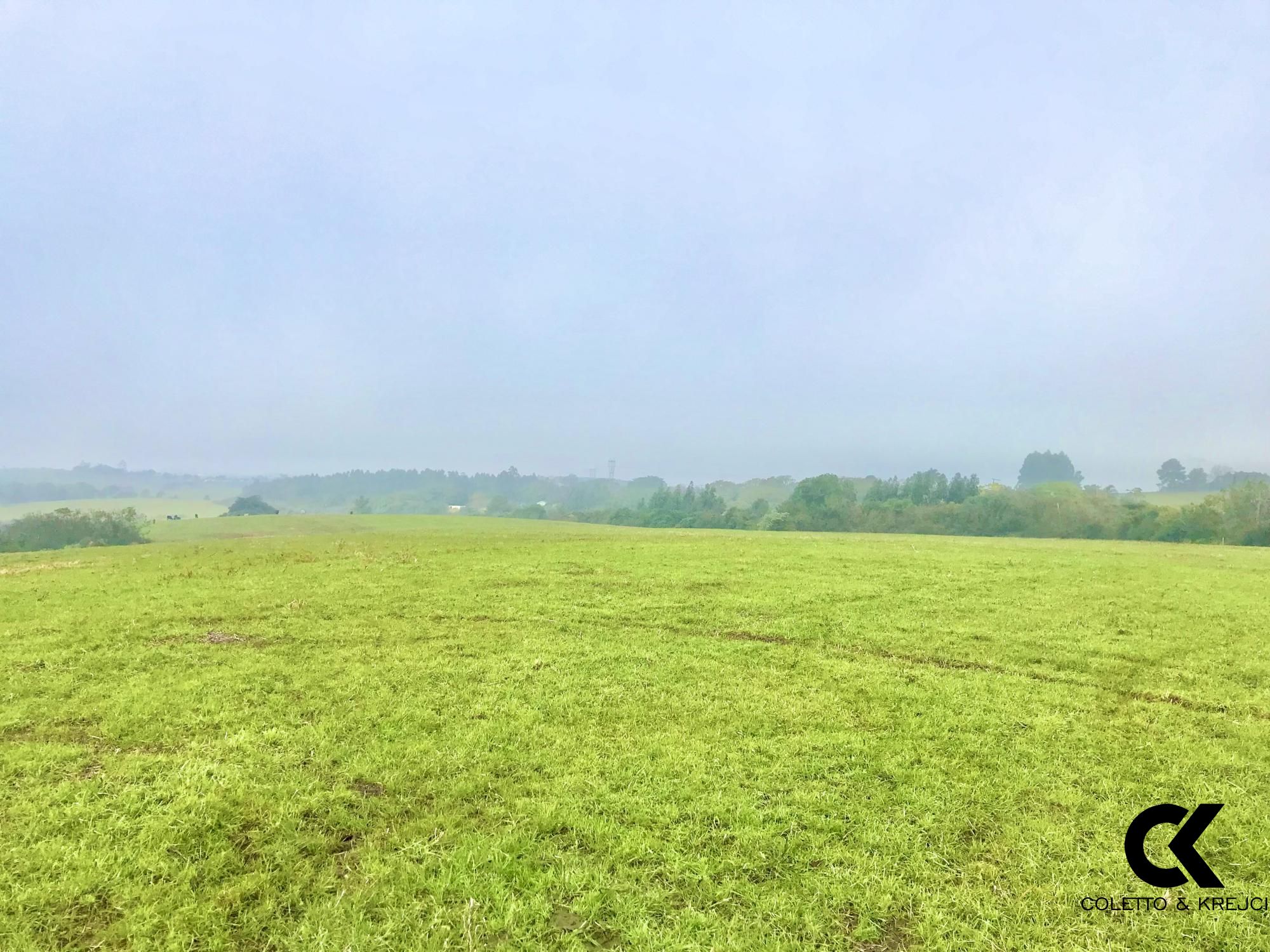 Fazenda à venda com 3 quartos, 185000m² - Foto 6