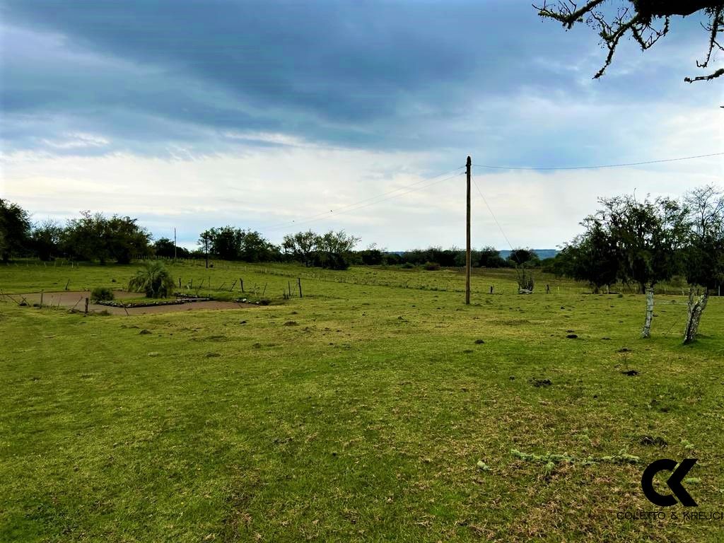 Sítio, 108 hectares - Foto 14