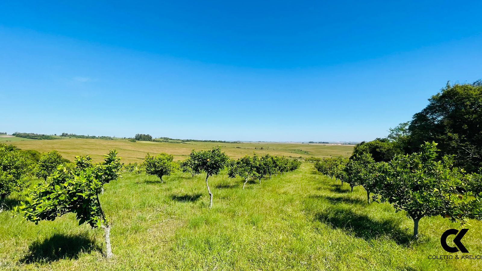 Fazenda à venda com 3 quartos, 140m² - Foto 20