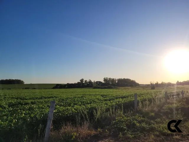 Loteamento e Condomínio à venda com 2 quartos, 70000m² - Foto 7