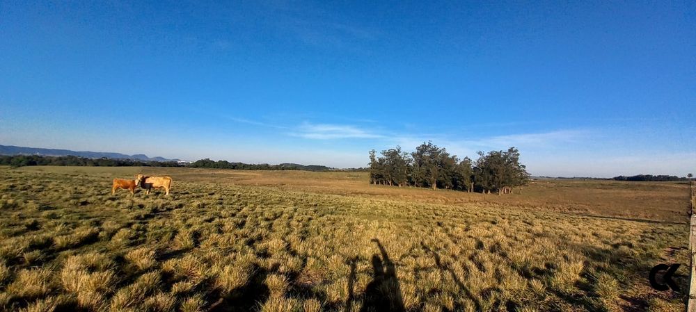 Fazenda, 7 hectares - Foto 18