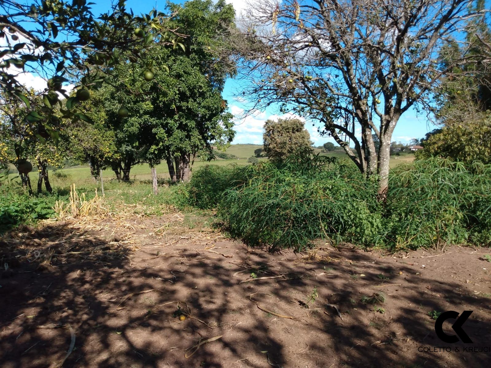 Fazenda à venda com 3 quartos, 30000m² - Foto 9