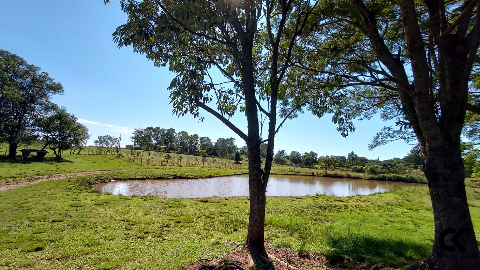 Fazenda à venda com 2 quartos, 40000m² - Foto 6