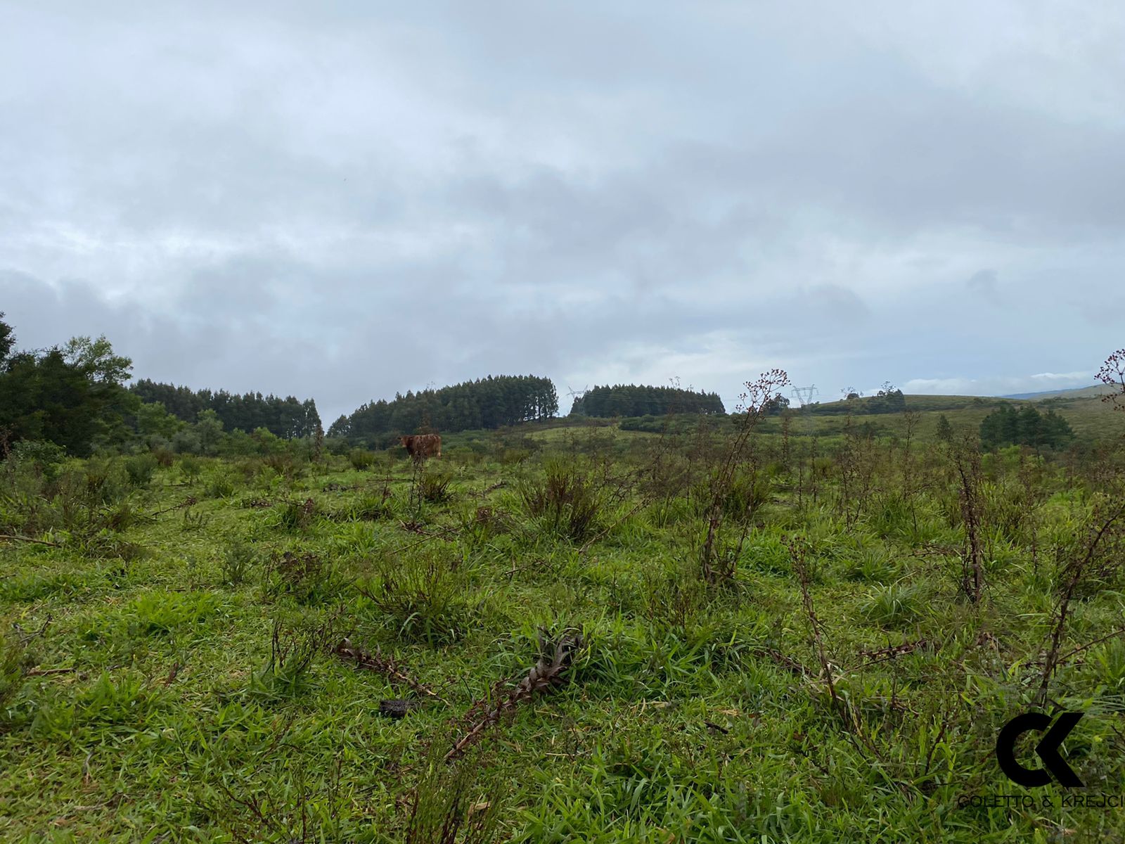 Fazenda à venda com 3 quartos, 5000000m² - Foto 9