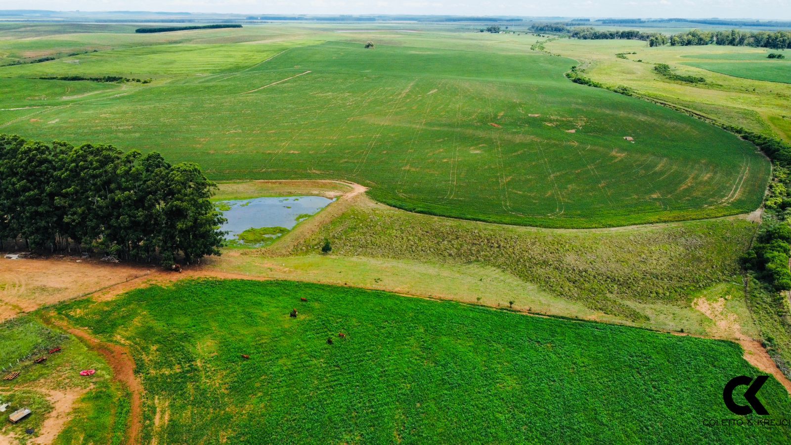 Loteamento e Condomínio à venda, 4300000m² - Foto 1