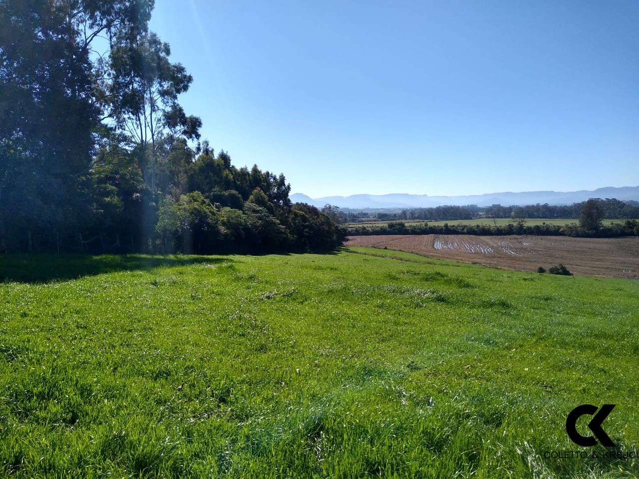Chácara à venda com 3 quartos, 10840m² - Foto 9