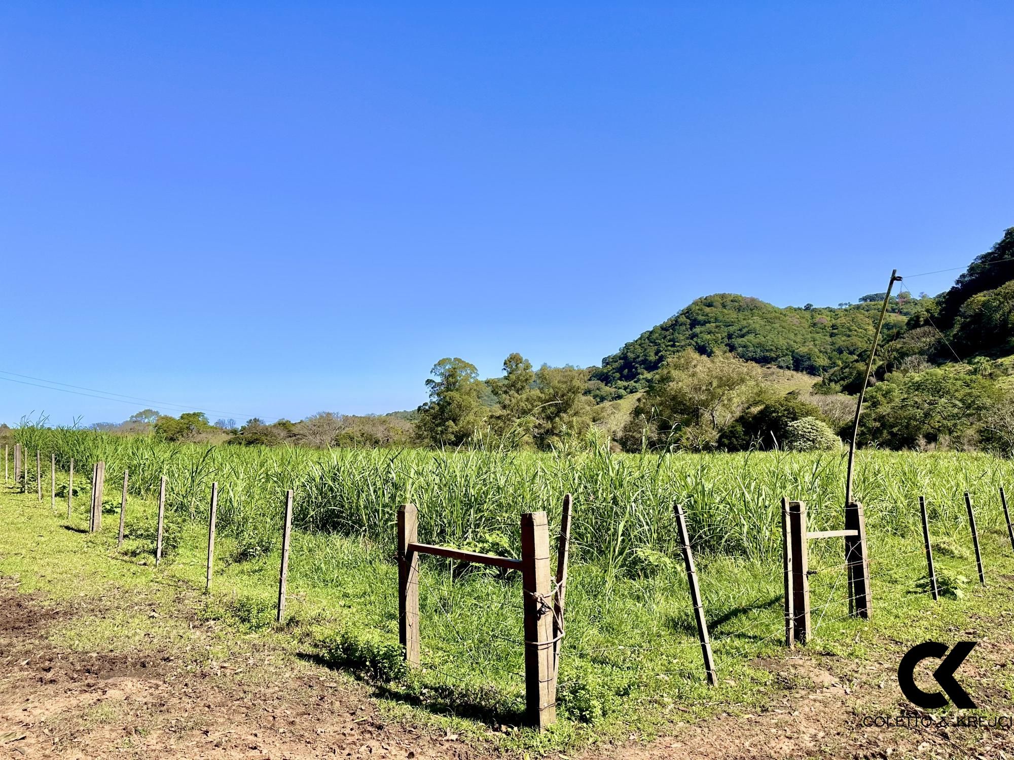 Fazenda à venda com 4 quartos, 240000m² - Foto 20