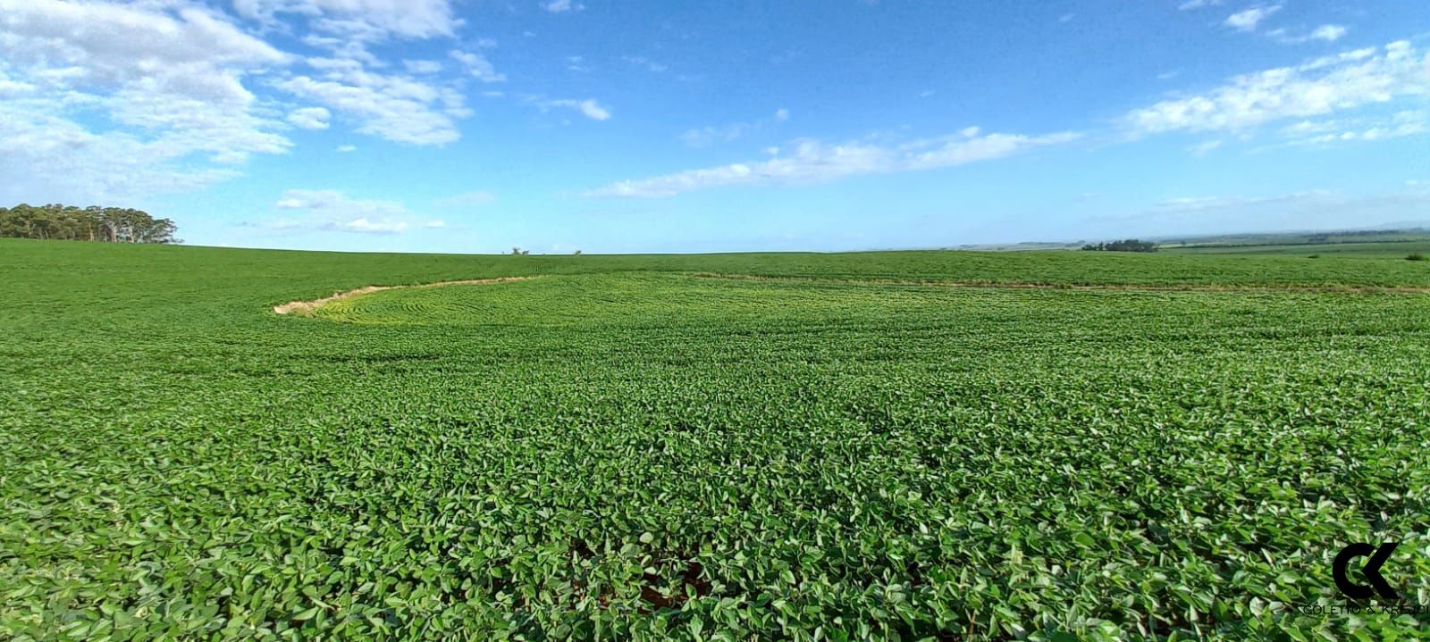 Fazenda à venda com 3 quartos, 20000000m² - Foto 3