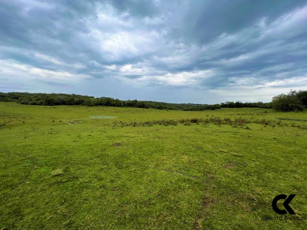 Sítio, 108 hectares - Foto 8