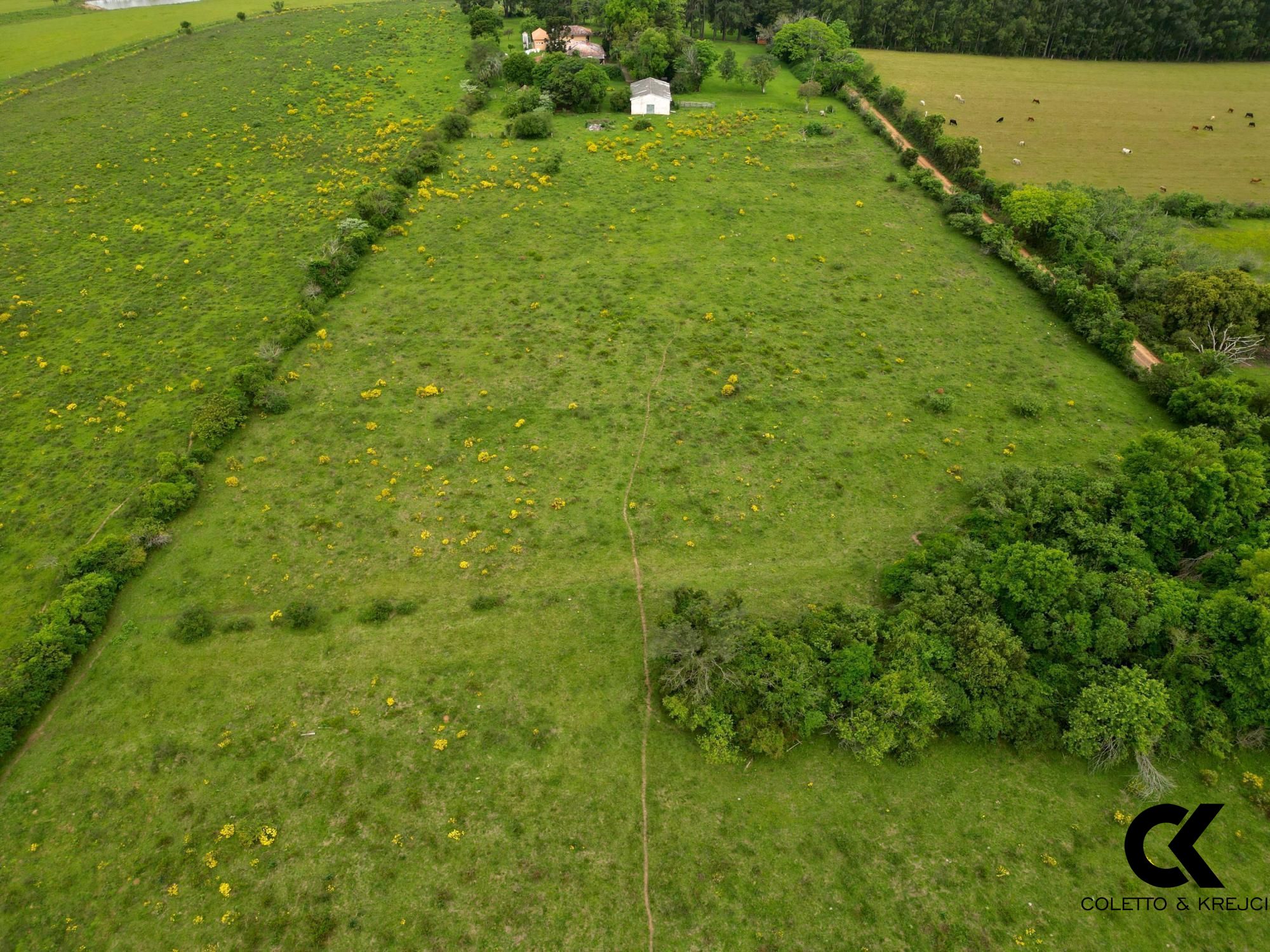 Fazenda à venda com 4 quartos, 130000m² - Foto 4