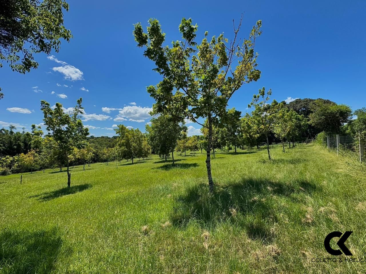 Chácara, 4 quartos, 13 hectares - Foto 1