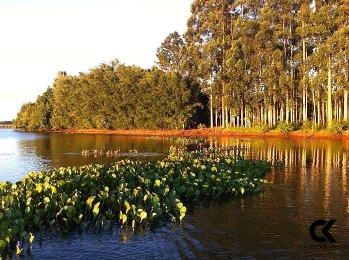 Fazenda à venda com 2 quartos, 150m² - Foto 6