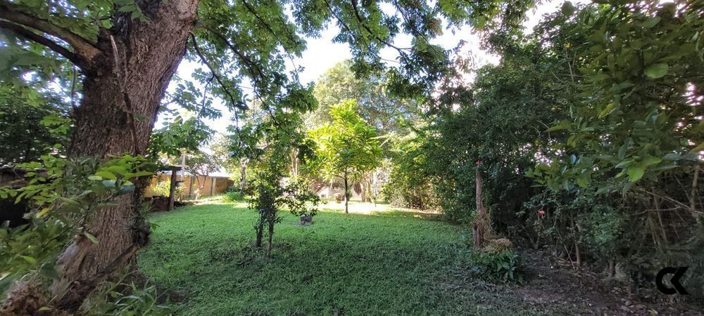 Terreno, 976 m² - Foto 5