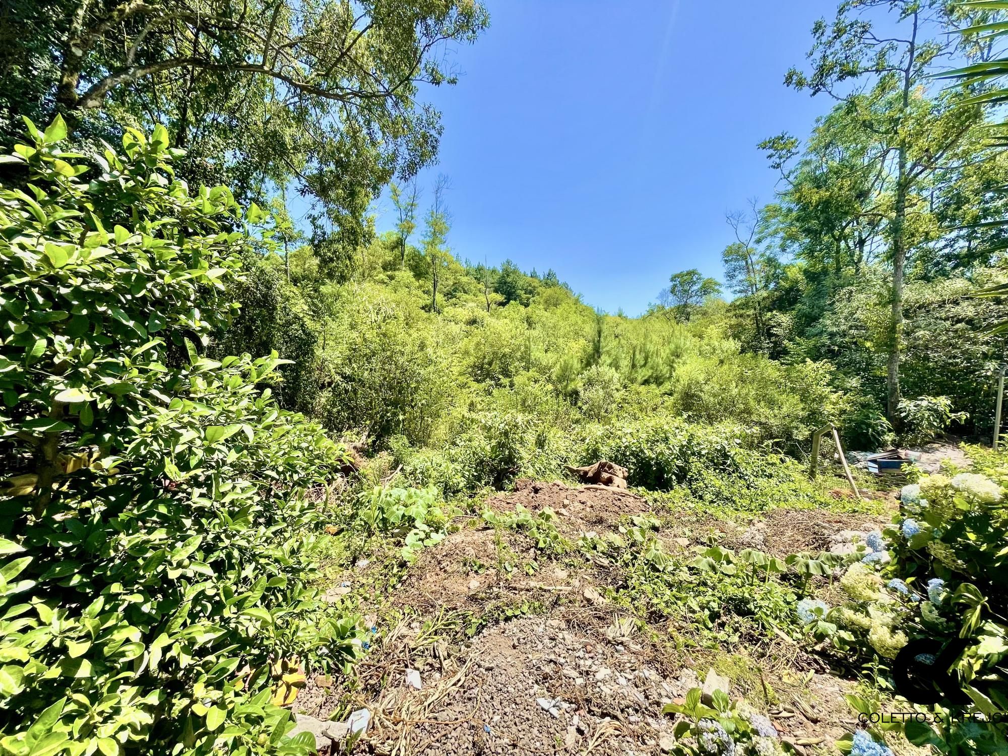 Terreno à venda, 1m² - Foto 3