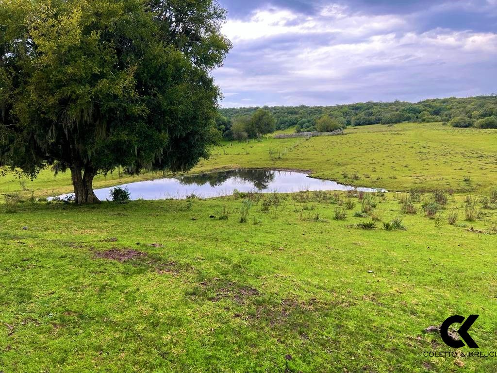 Sítio, 108 hectares - Foto 12