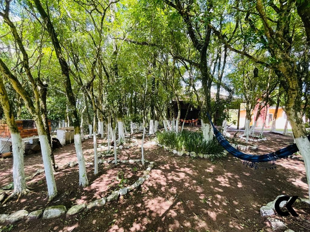 Fazenda à venda com 4 quartos, 200m² - Foto 28