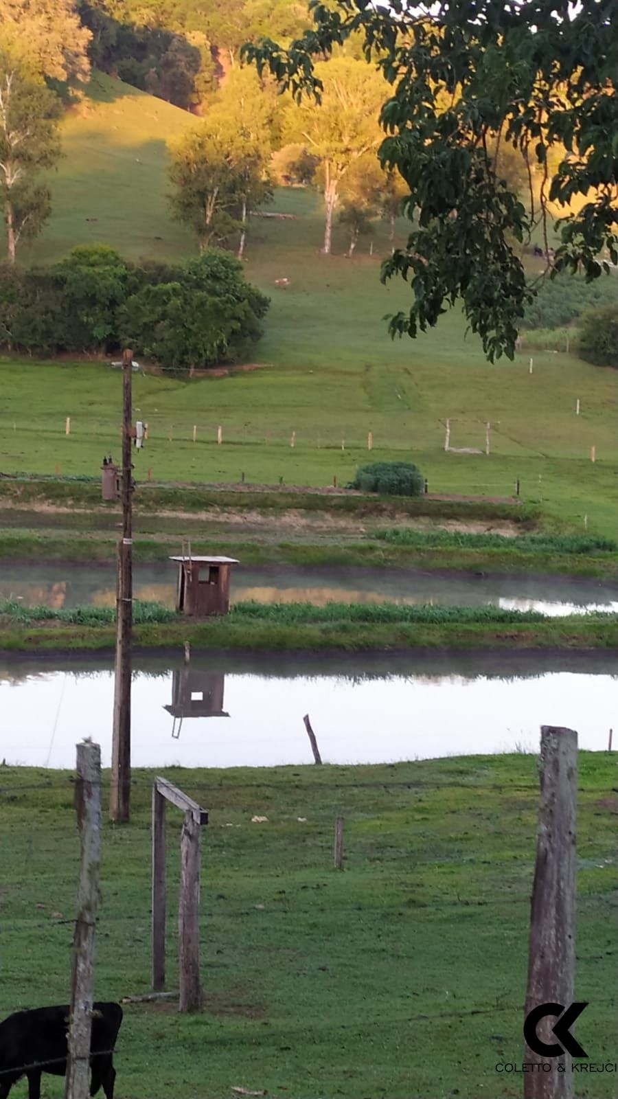 Sítio, 2 quartos, 4 hectares - Foto 15