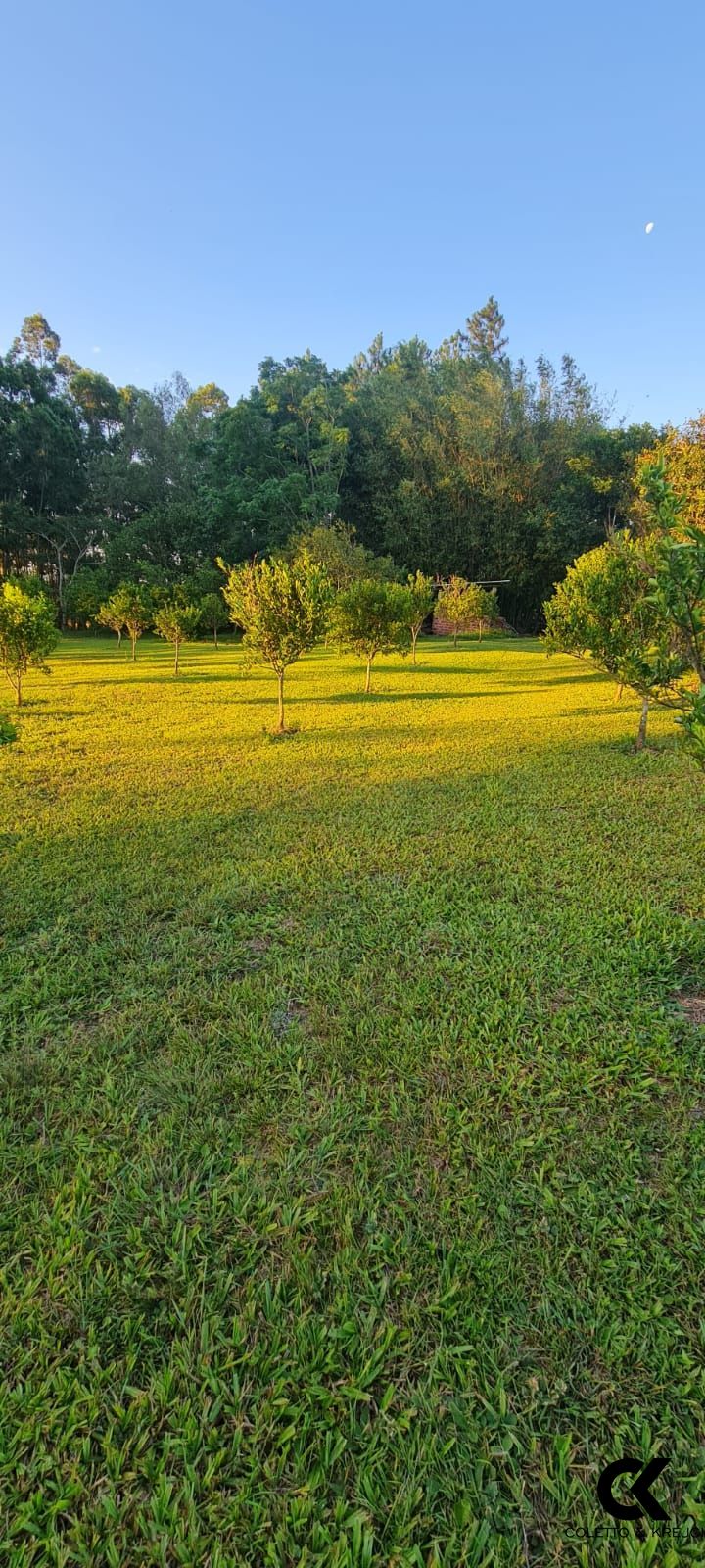 Sítio à venda com 3 quartos, 170m² - Foto 8