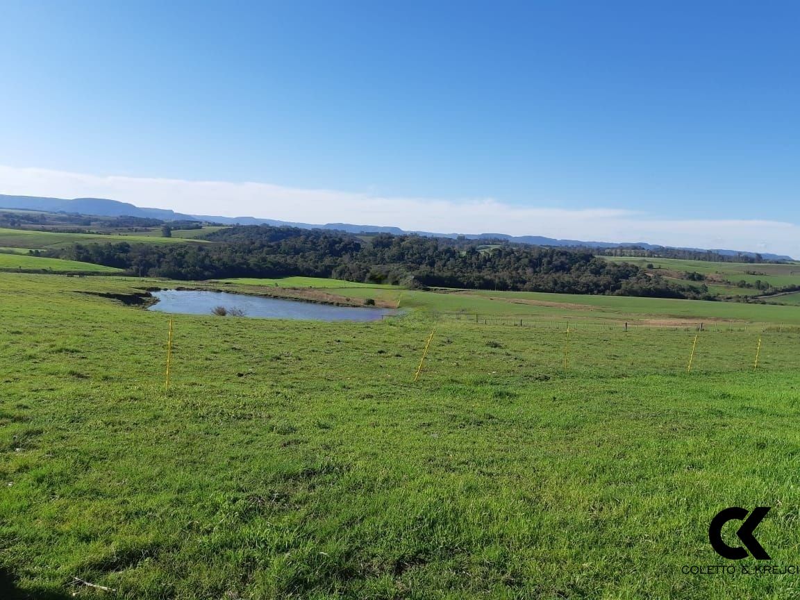 Fazenda à venda com 3 quartos, 140m² - Foto 16