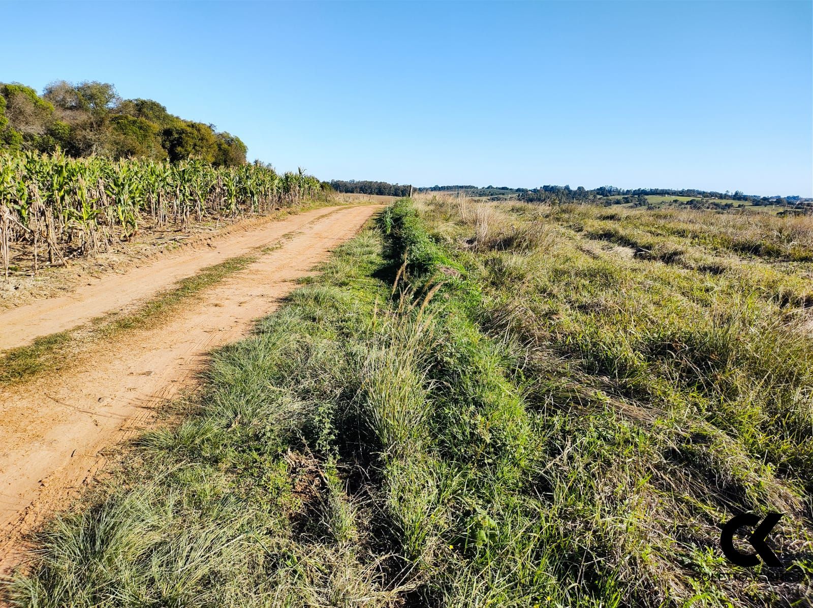 Loteamento e Condomínio à venda, 520000m² - Foto 5