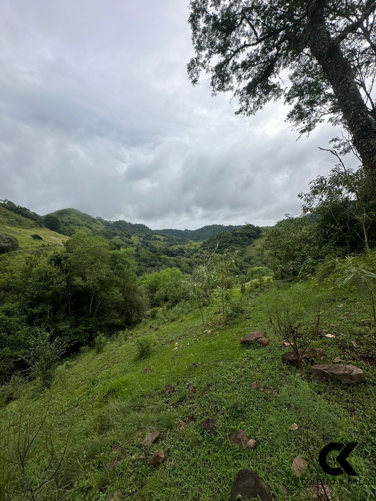 Fazenda à venda, 48400m² - Foto 12