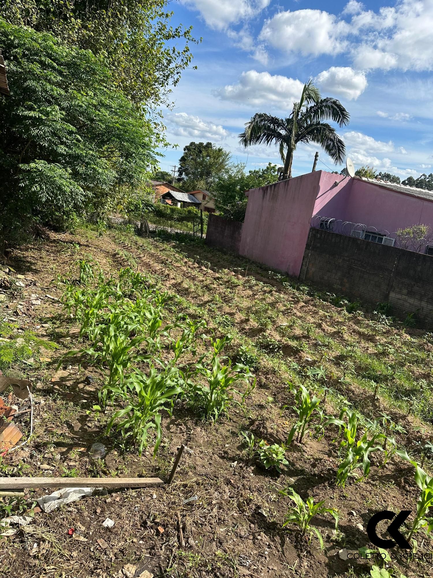 Terreno, 321 m² - Foto 3