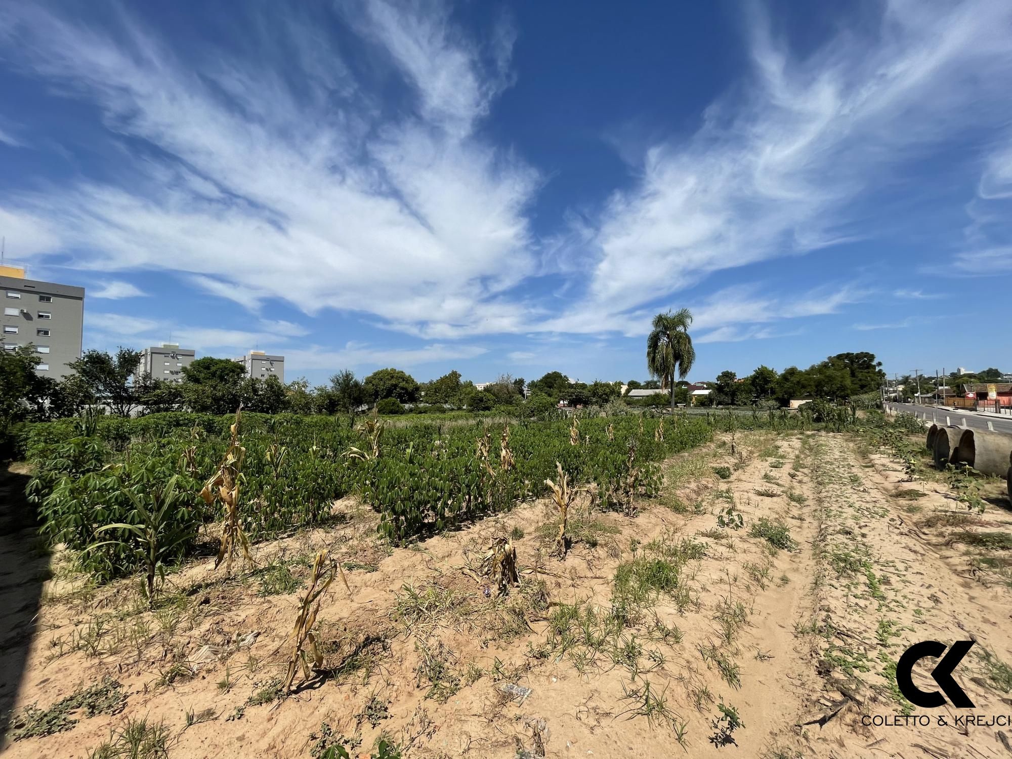 Terreno à venda, 10080m² - Foto 2