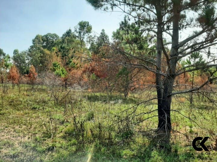 Loteamento e Condomínio, 2000 m² - Foto 5