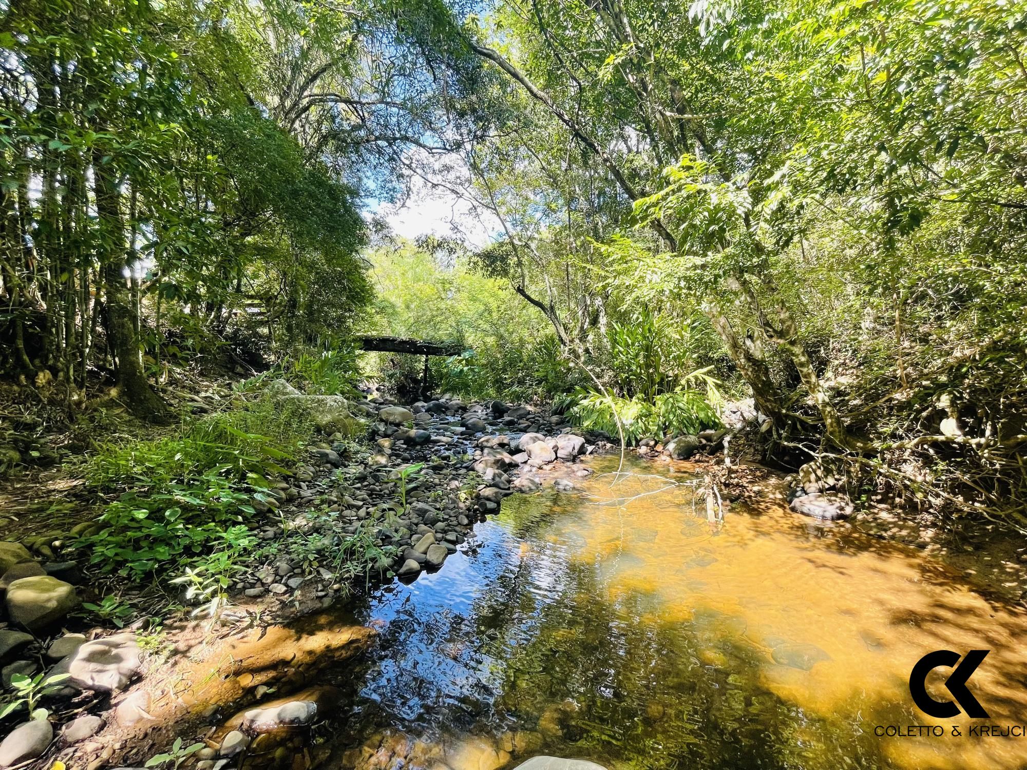 Chácara à venda, 10000m² - Foto 3