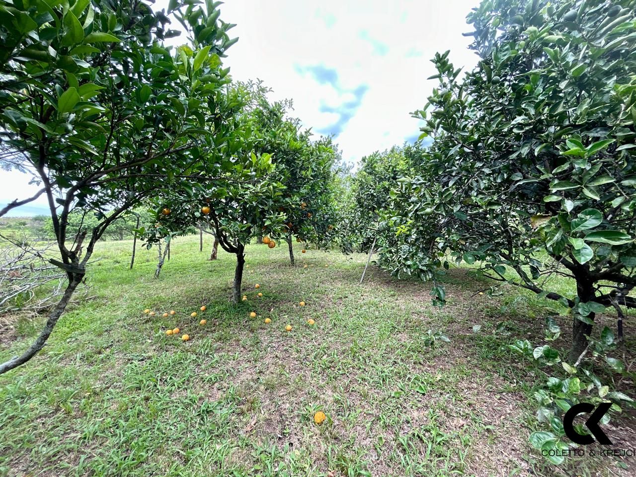 Fazenda à venda com 3 quartos, 15000m² - Foto 29