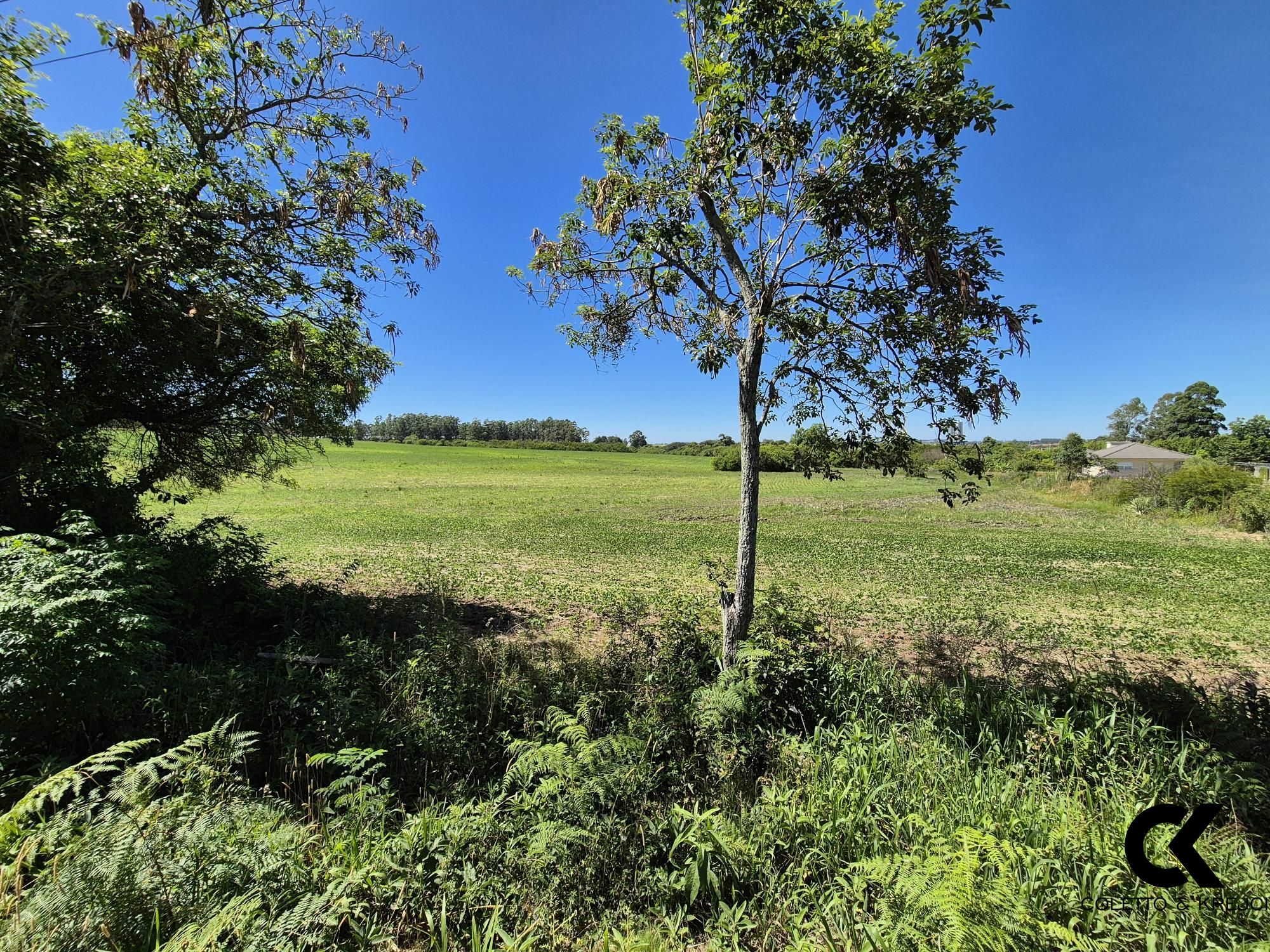 Terreno, 2 hectares - Foto 2