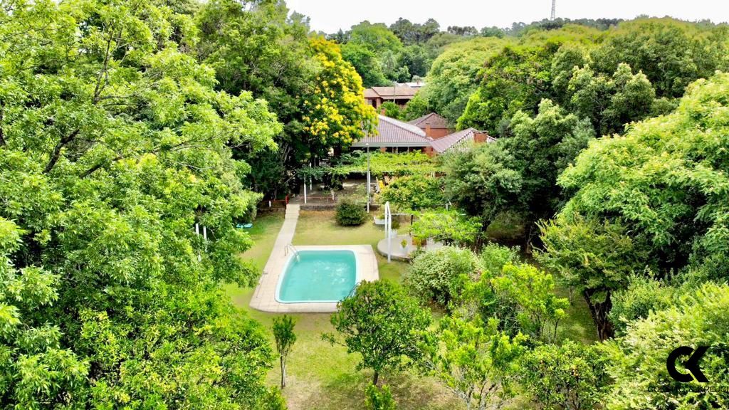 Fazenda à venda com 3 quartos, 6000m² - Foto 1