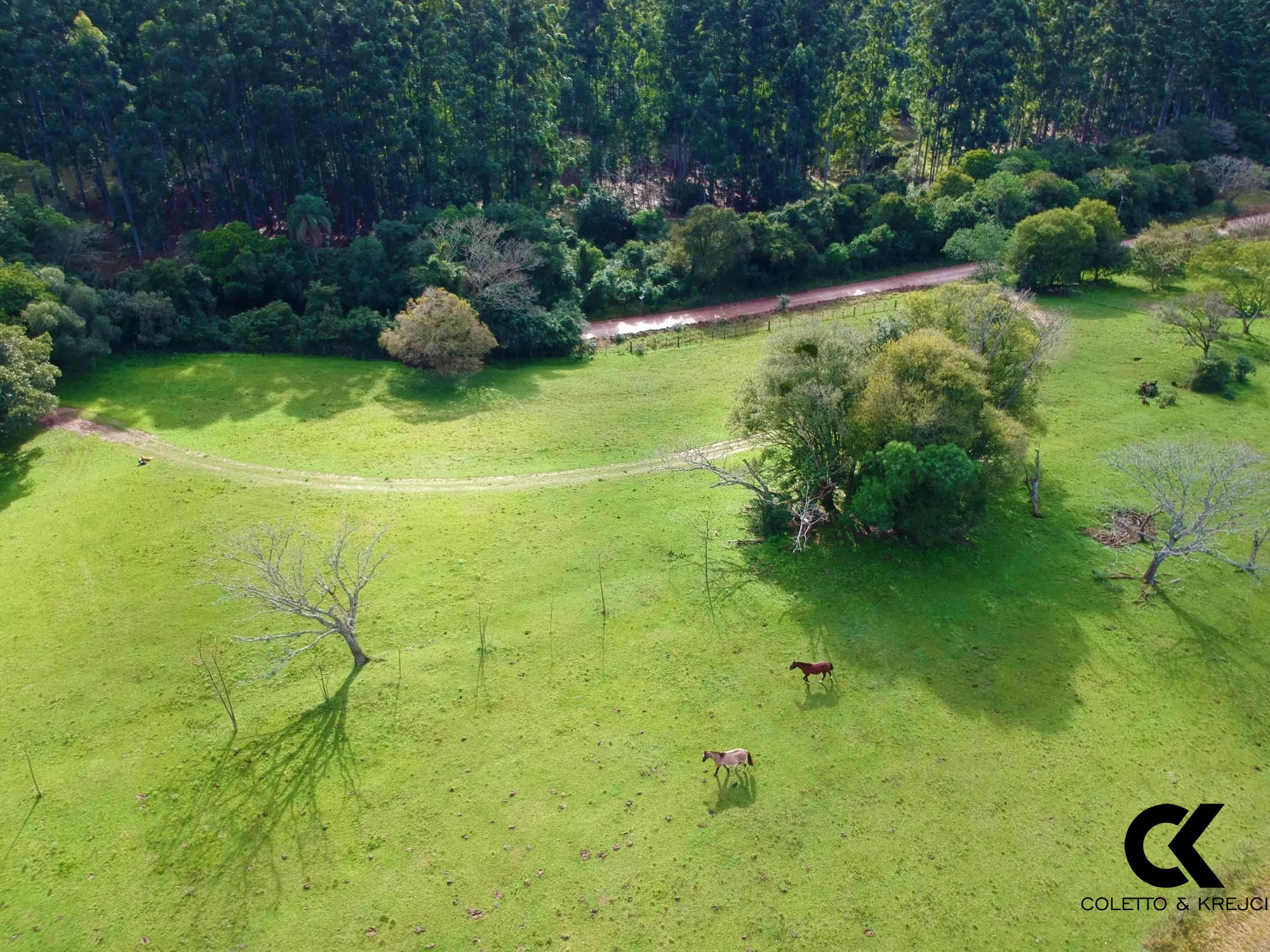 Loteamento e Condomínio à venda, 460000m² - Foto 11