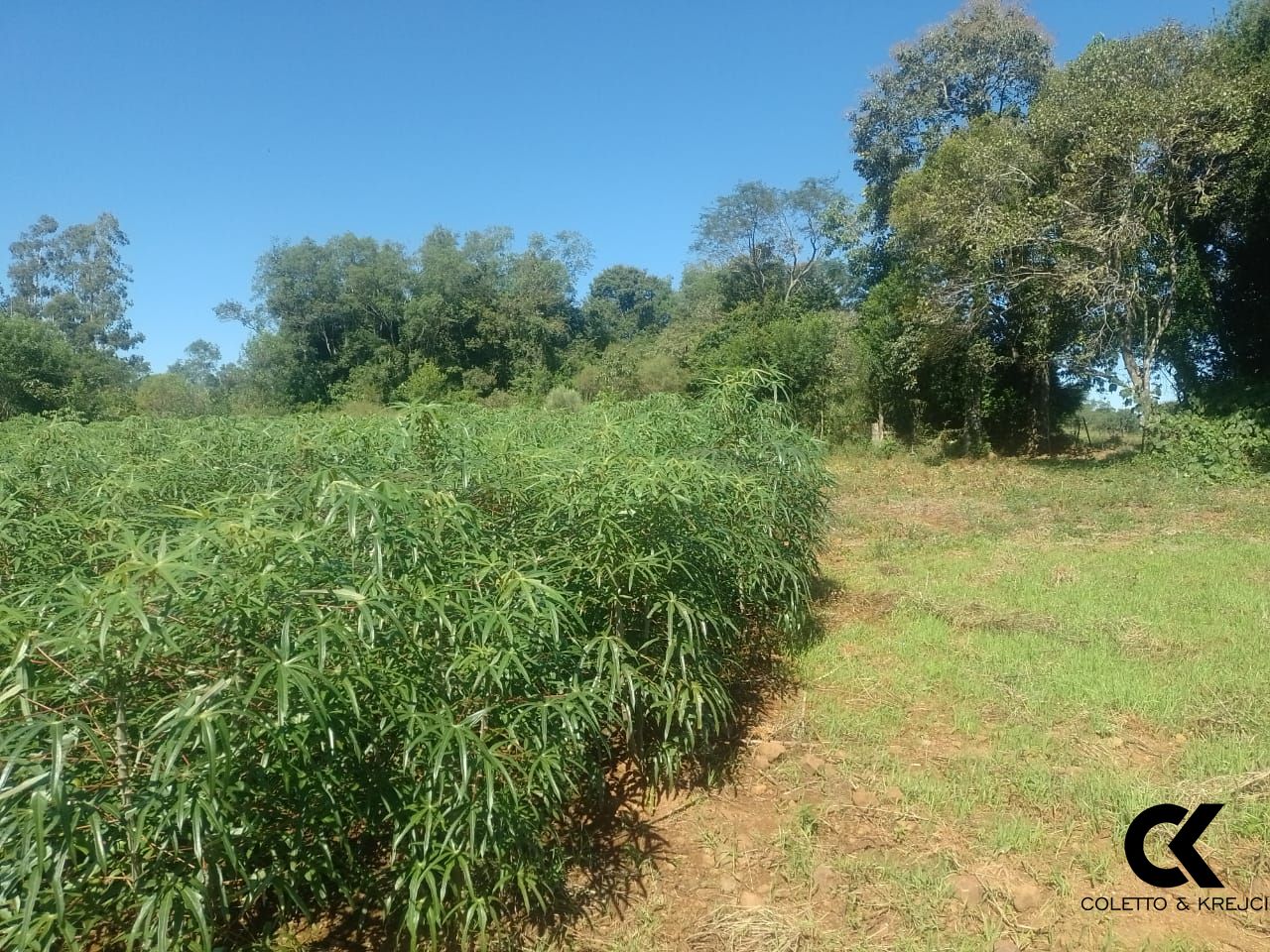 Fazenda à venda com 2 quartos, 42m² - Foto 23