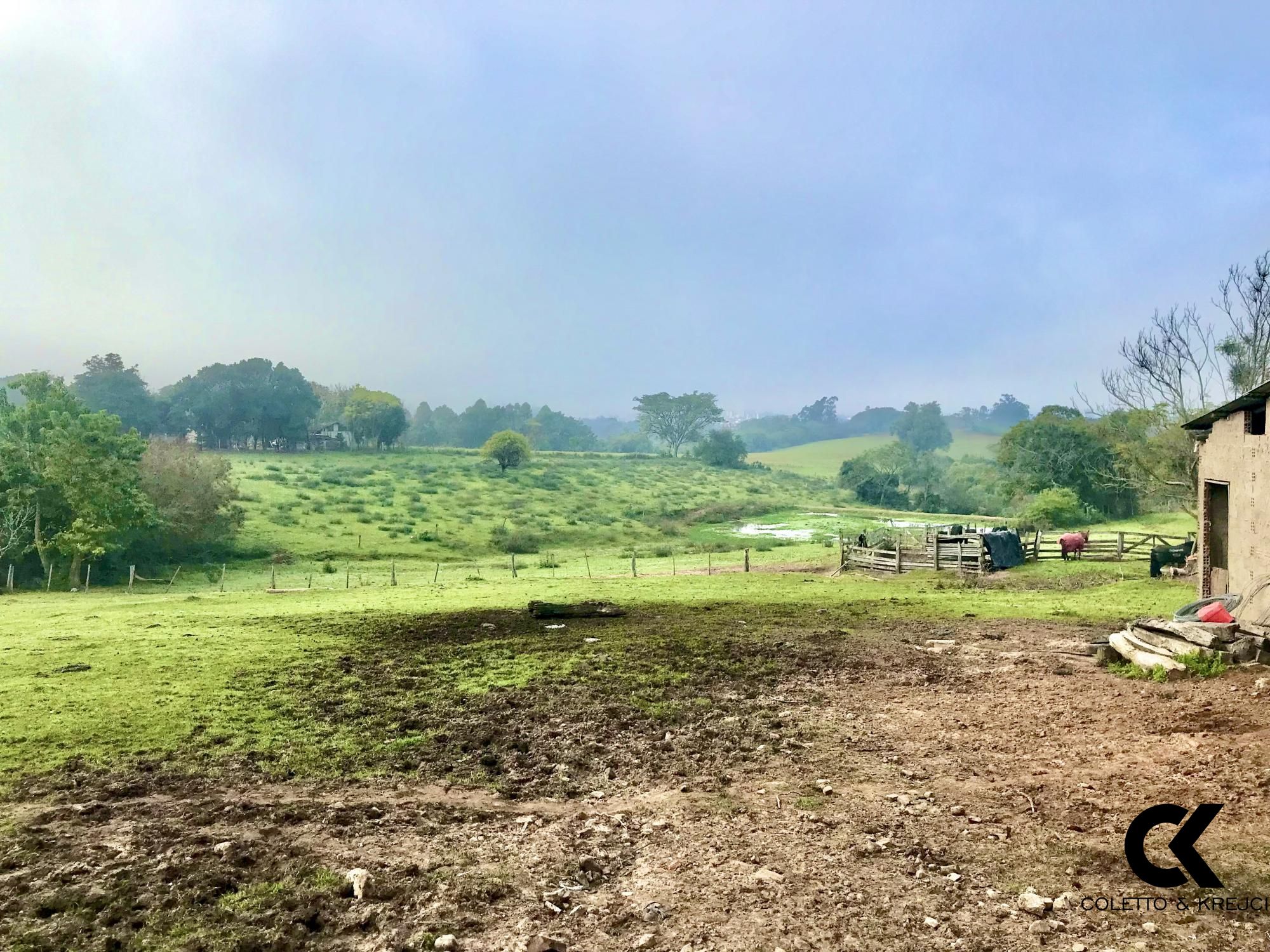 Fazenda à venda com 3 quartos, 185000m² - Foto 5