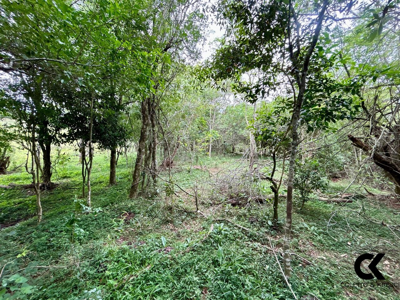 Fazenda à venda com 3 quartos, 15000m² - Foto 26