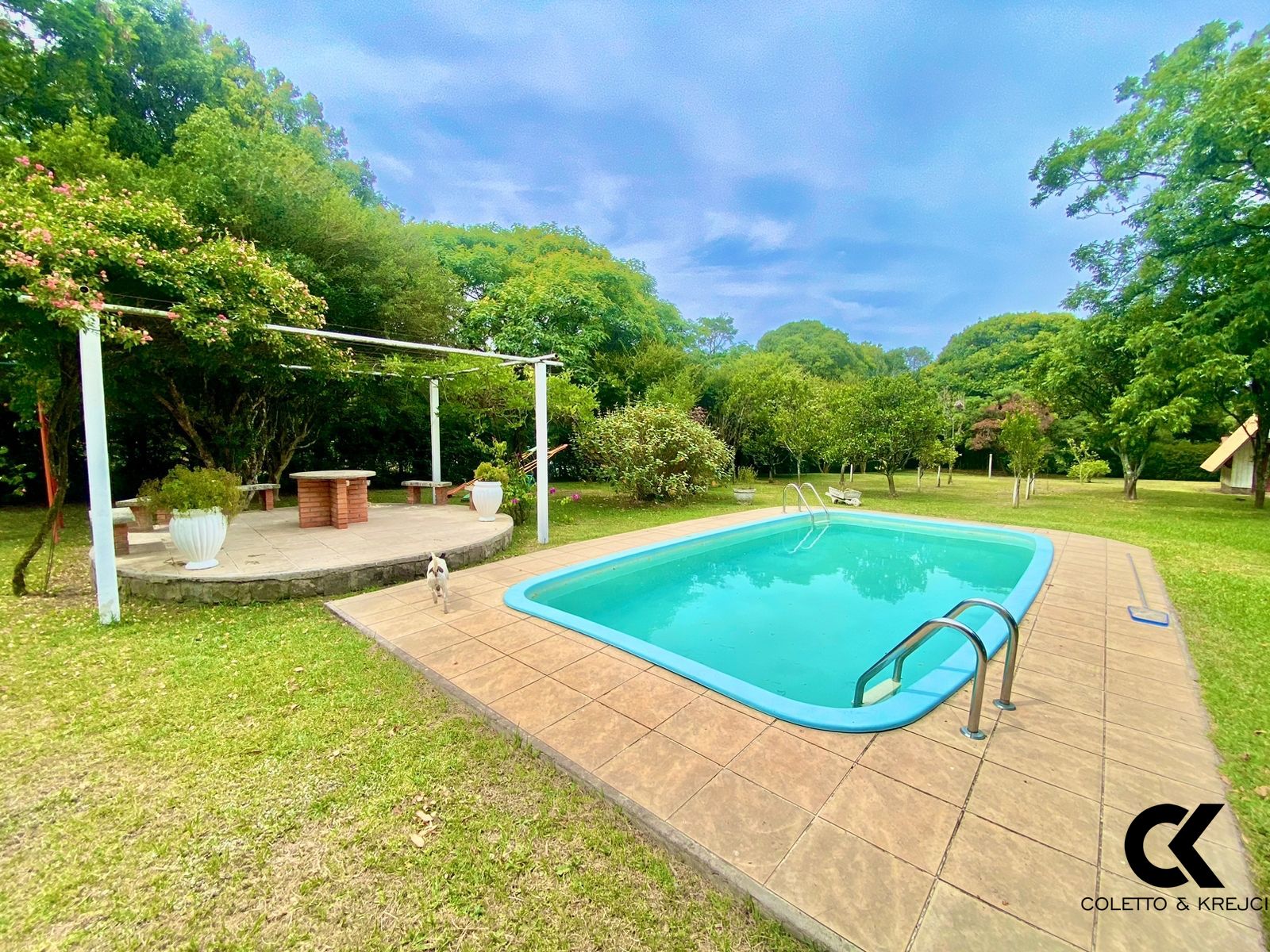 Chácara, 3 quartos, 6000 m² - Foto 3