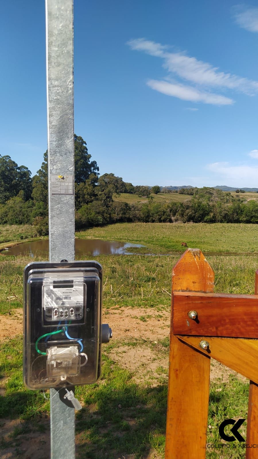 Sítio, 4 hectares - Foto 8