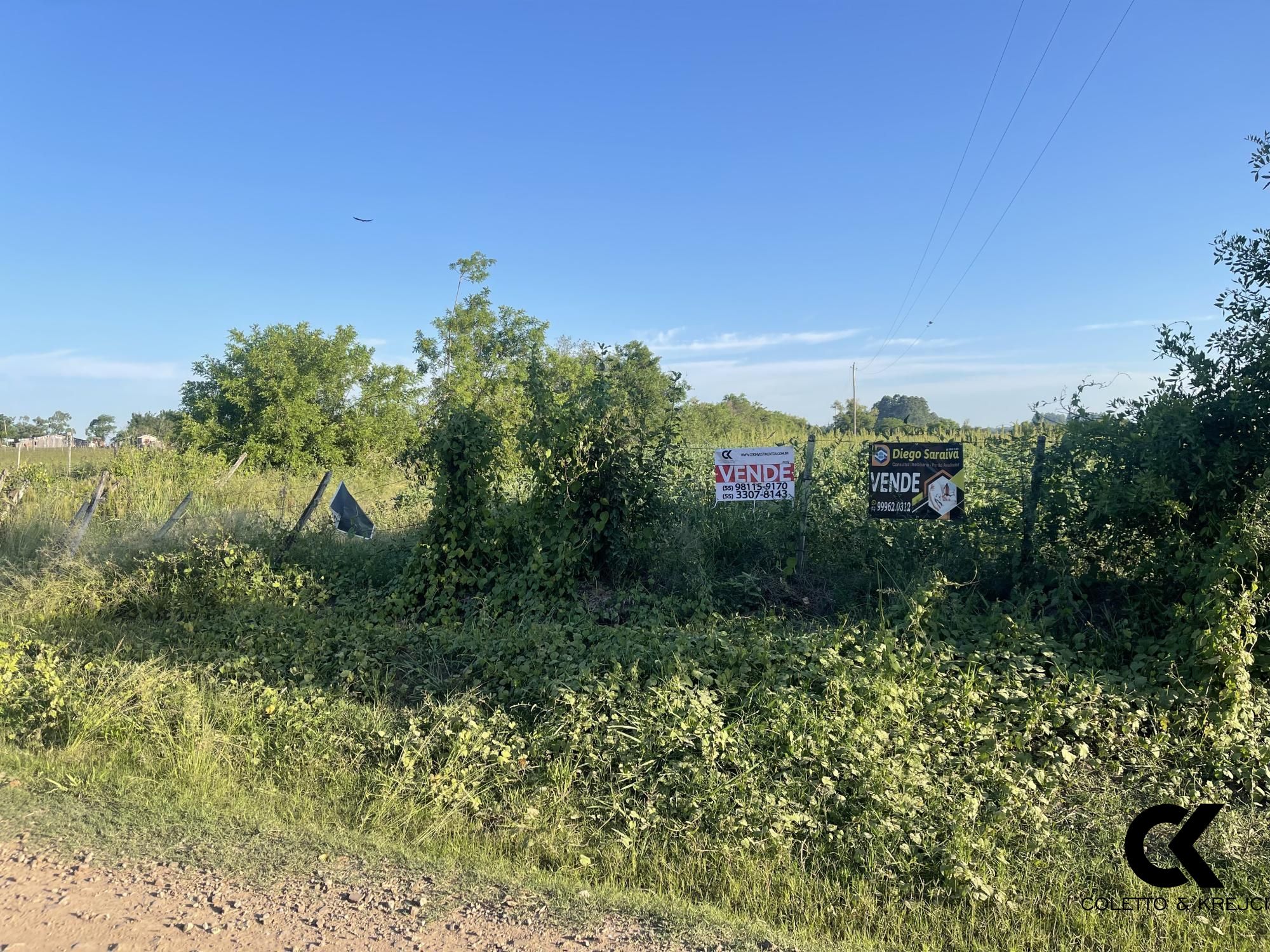 Chácara, 4 hectares - Foto 4