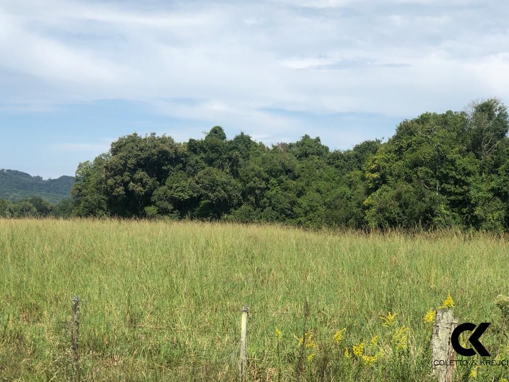 Fazenda à venda com 3 quartos, 32750000m² - Foto 14